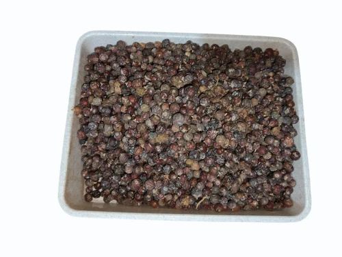 Dried Juniper Berries