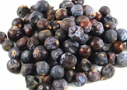 DDRS Hauber / Hauber Teliya /Juniperus Berries / Haober, Packaging Type: Loose, Whole