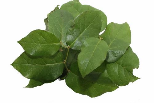 Lemon Leaves