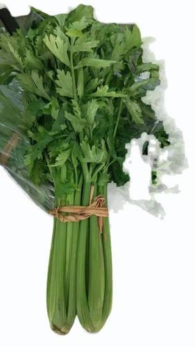 Fresh Organic Celery