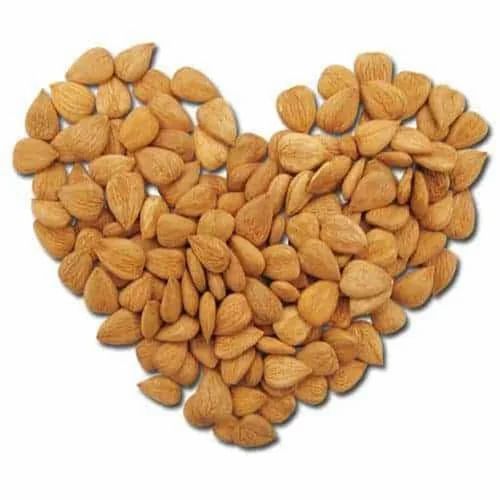 Dried Apricot Kernel
