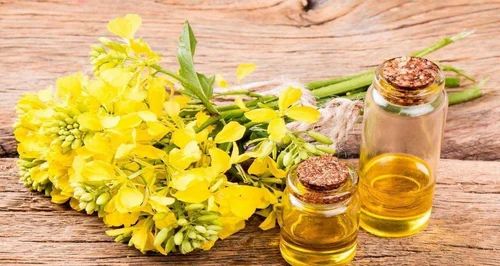 Refined Canola Oil