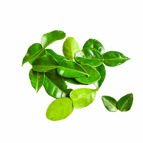 Kaffir Lime Leaves