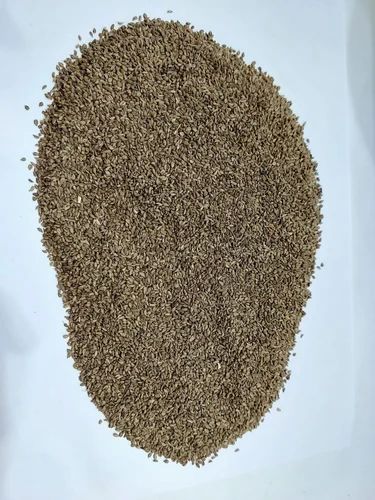 Carrom Seed Ajwain, Machine Cleaned, Seeds