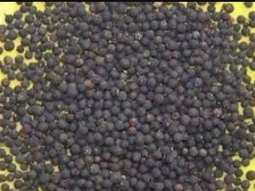 Embelia Ribes / vaividang / False Black Pepper, Form: Whole Seed