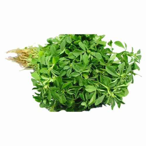 Maha Shakti Fenugreek Leaves, 1 Kg, Packaging: Poly Bag