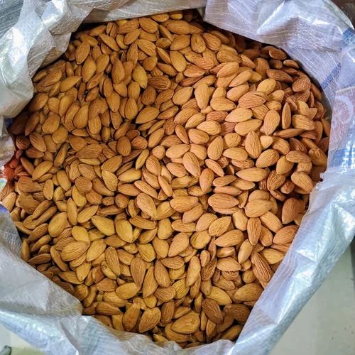 Independent Almond Nut, Independence