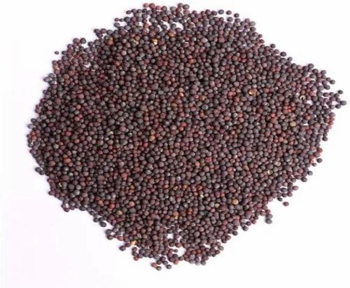 Dry Mustard Seeds