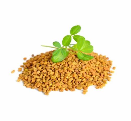 Shree Beauty Care Dried Fenugreek Seeds Methi, Packaging Size: 1 kg