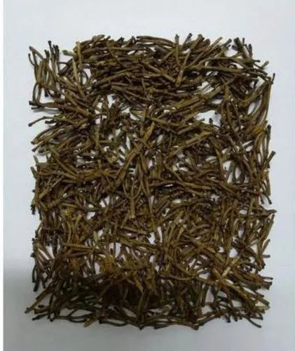 Dried Clove Stem