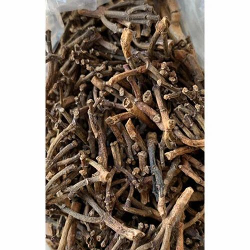 Indian Organic Clove Stem, Grade: With Oil