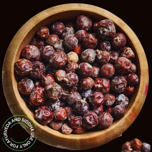 Hauber Juniperus Communis