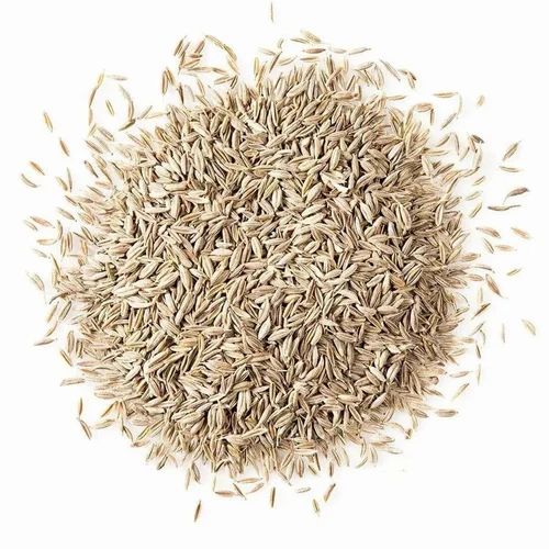 White Cumin Seeds