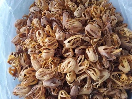 Dried Nut Mace Full Flower, Whole