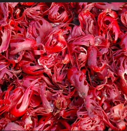 Dried Nutmeg Flower