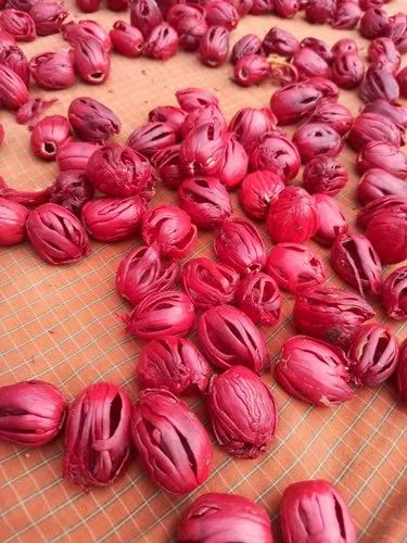 Organic Nutmeg Flower