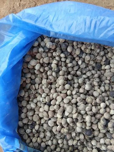 Buchanania Lanzan Chironji, Packaging Size: 50 kg