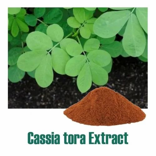 Cassia Tora (Pawad Beej) 20% - 25% Glycosides (Gravimetry) Extract
