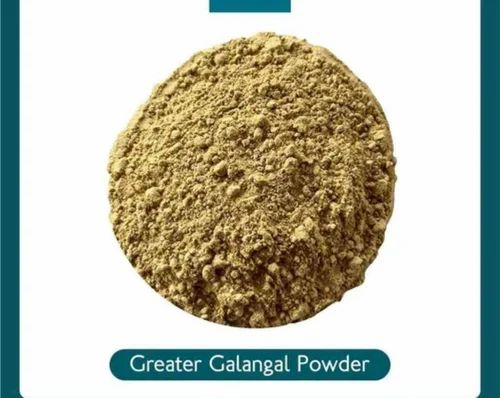 Greater Galangal Roots Powder Extract
