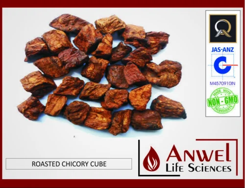 Roasted Chicory Cube