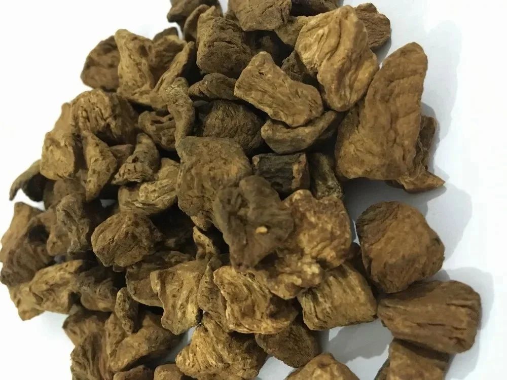 Roasted Chicory Cubes