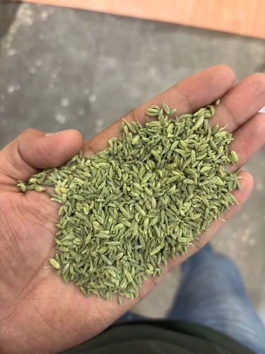 Organic Fennel Seeds