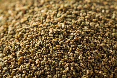 Dried Celery Seeds, Packaging Size: 50 kg