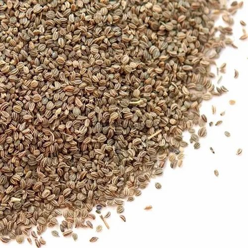 Dried Ajmoda Seeds