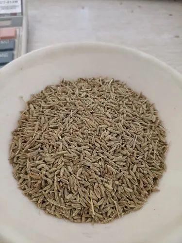 30kg White Cumin Seeds, Whole