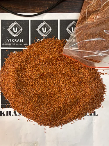 Halim Seeds In Bulk