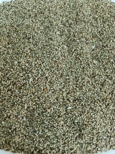 Ajwain kani clean