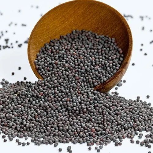 Black Mustard Seed, Sortex Cleaned, Whole Seeds