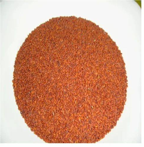 Old Crop Garden Cress Seed