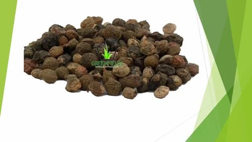 Desi Achar Seed (Buchanania Lanzan) - Cleaned