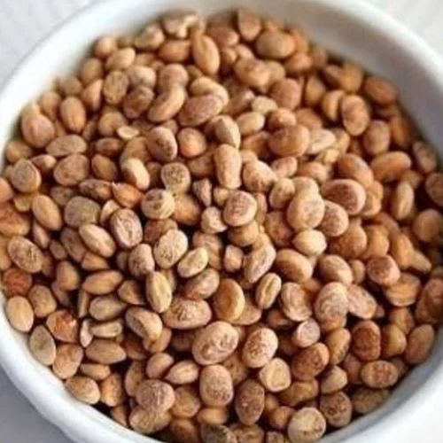 Charoli Chironji Seed, Packaging Size: 50 kg
