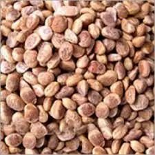 Chiraunji Seed
