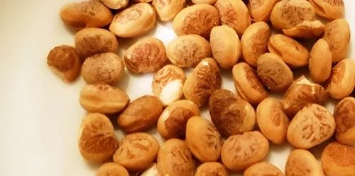 Brown Chironji Seeds