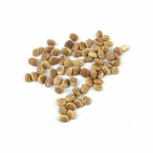 Effar Chironji Seeds, Packaging Type: Plastic Box, Packaging Size: 10 Kg