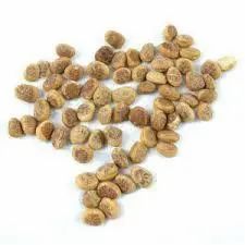 Charoli Seeds