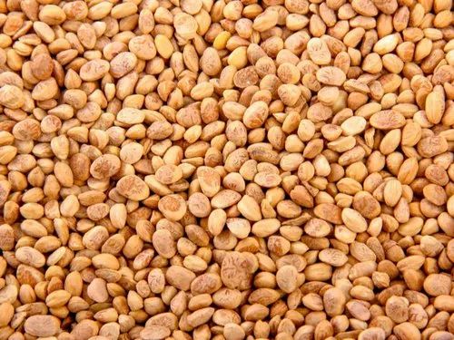Chironji Seeds, Packaging Type: Packet