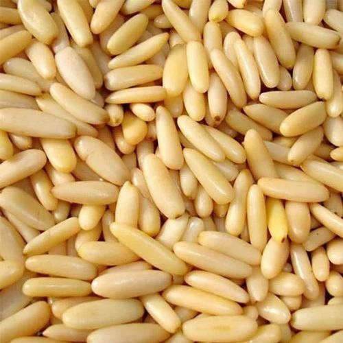 A Grade Dried Pine Nuts