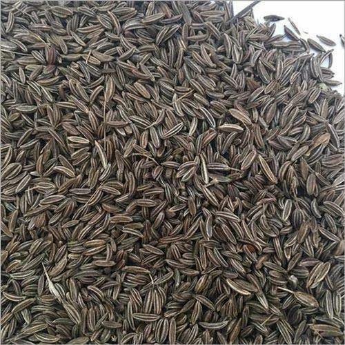 Sortex Cleaned Conventional Shajeera Seeds