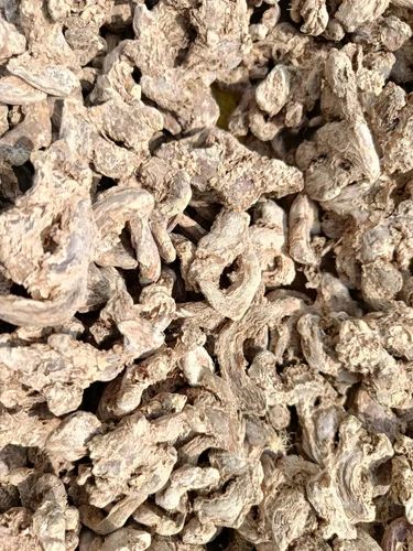 Dry Ginger Sonth