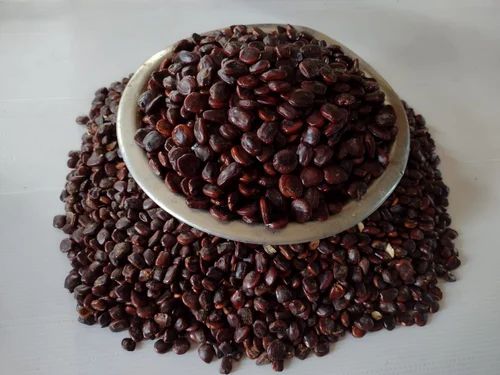 Brown Organic Tamarind Kernels