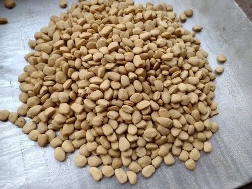 White Tamarind Kernel