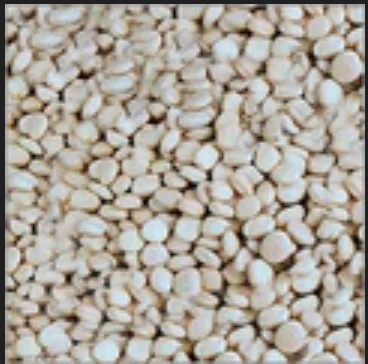 Tamarind Kernels