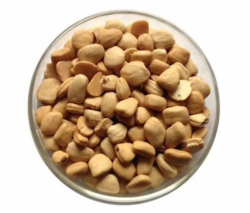 Tamarind Kernel Seed