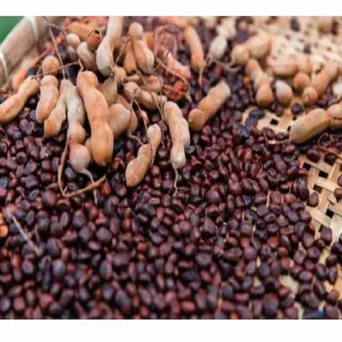 Tamarind Kernel