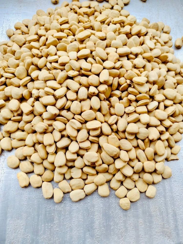 white-tamarind-kernel