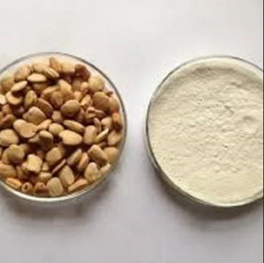 Cassia Tora Splits Powder